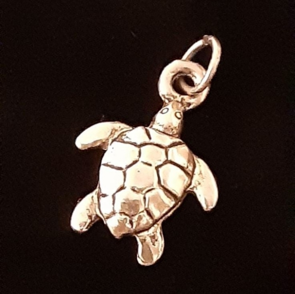 🆕 Little Lucky Sea Turtle Charm